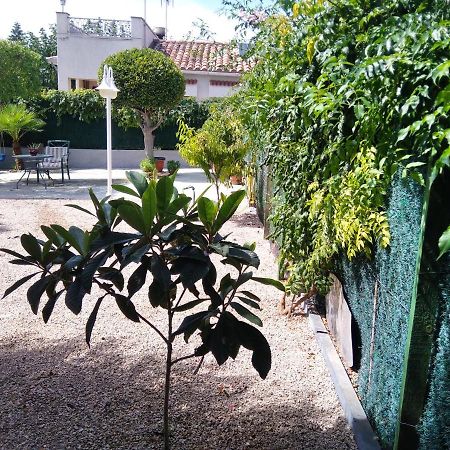 Casa Verdeesvida Bellvei del Penedes Exteriör bild
